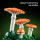 LEGO BOTANICALS 11505 Grzyby leśne - 1529718 - zdjęcie 6